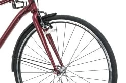 Giant Momentum Street Commuter Bike - 2021, Medium -Professional Bicycle Discount Store BCY13863 PH1 05