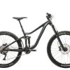 Giant Reign 2 Mountain Bike - 2019, Small