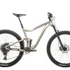 Giant Trance 29 3 Mountain Bike - 2020, Large