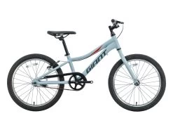 Giant XTC Jr 20 C/B Children's Mountain Bike - 2021, One Size