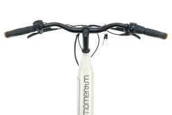 Giant Momentum Vida E+ Low-Step 500Wh Commuter E-Bike - 2021, Small -Professional Bicycle Discount Store BMT25144 PH 17