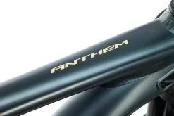 Giant Anthem 29 2 Mountain Bike - 2020, Medium 20 Giant Anthem 29 2 Mountain Bike - 2020, Medium -Professional Bicycle Discount Store BMT27671 8