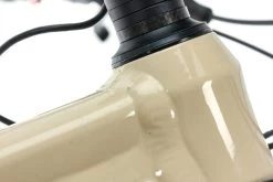 Giant Reign E+ Pro 2 Mountain E-Bike - 2020, Medium -Professional Bicycle Discount Store BMT29368 PH 11