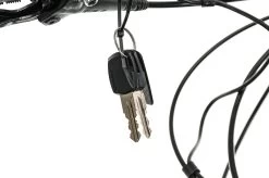 Giant Roam E+ GTS Trekking E-Bike - 2021, Large -Professional Bicycle Discount Store BRD26616 PH1 07