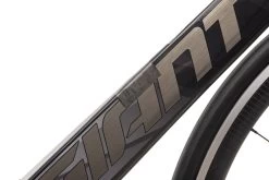 Giant Trinity Pro 1 Time Trial Bike - 2019, Large -Professional Bicycle Discount Store BTT11401 PH1 07