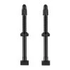 Tubeless Valve Stems (80mm) - 2/Pkg -Professional Bicycle Discount Store GIANT TUBELESS VALVE STEM