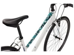 Ground Keeper Frame Protector Kit Palms 7 Ground Keeper Frame Protector Kit Palms -Professional Bicycle Discount Store Ground Keeper Palms 2