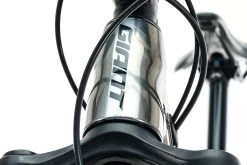 Giant Reign 29 2 Mountain Bike - 2020, Small 21 Giant Reign 29 2 Mountain Bike - 2020, Small -Professional Bicycle Discount Store bmt27818 PH 7