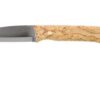 Casström Woodsman Knife Curly Birch, K720 Scandi Grind 10824 With Firesteel