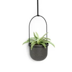 Triflora 5 Hanging Planter Black - Umbra -Professional Bicycle Discount Store GUEST 9c8069c0 3124 4099 899f 5466d0209749