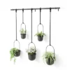 Triflora 5 Hanging Planter Black - Umbra 1 Triflora 5 Hanging Planter Black - Umbra -Professional Bicycle Discount Store GUEST 9e646d52 2f11 41b3 b9dc 3f8186121b2b